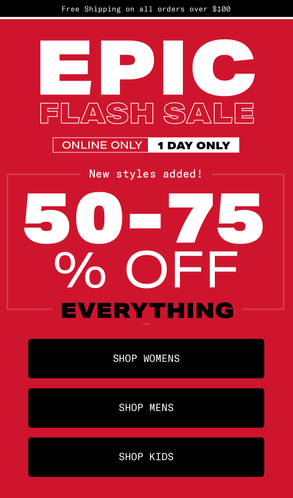 Flash sale newsletter idea